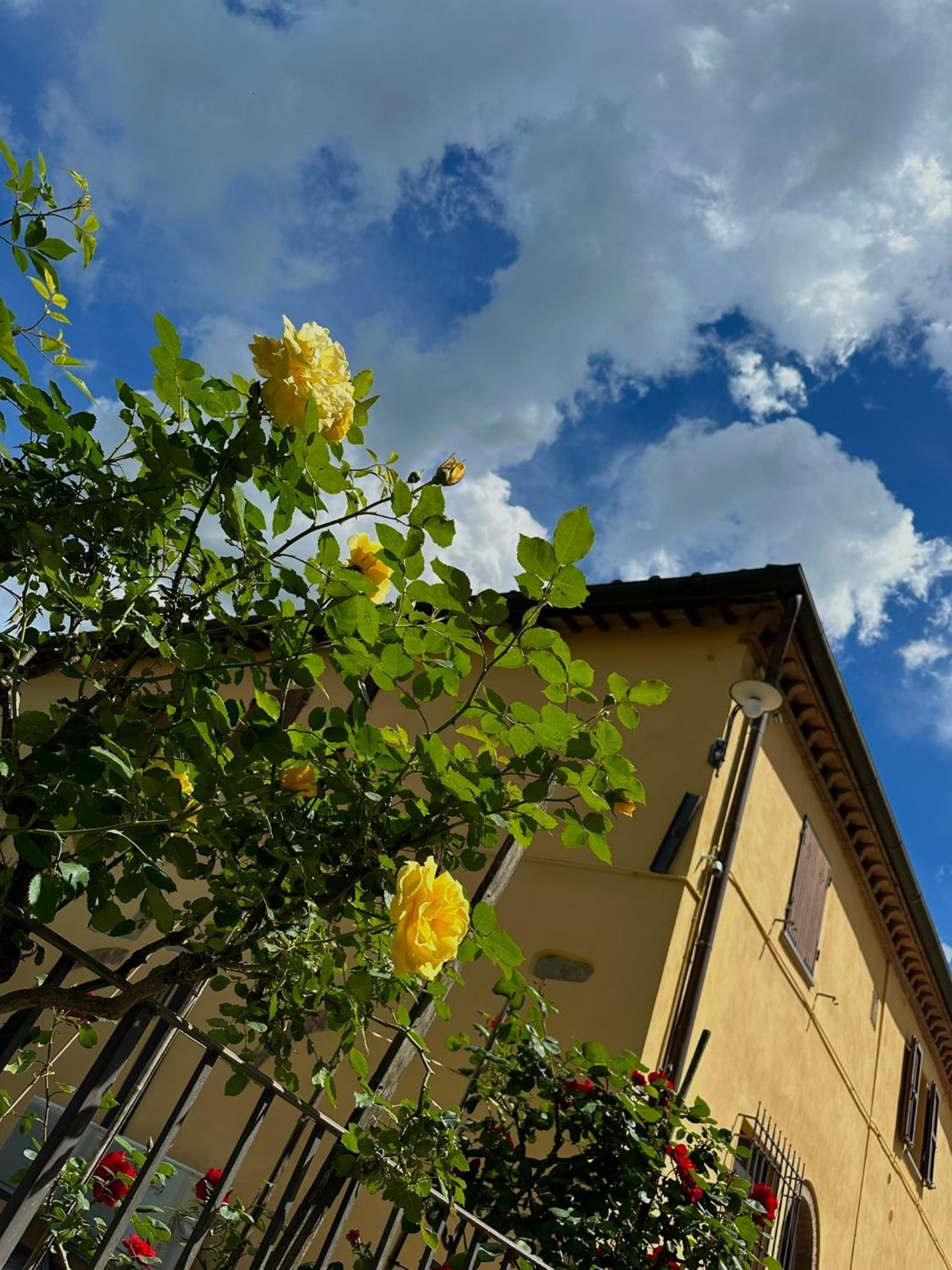 Agriturismo Casa Alle Vacche San Gimignano Exterior photo