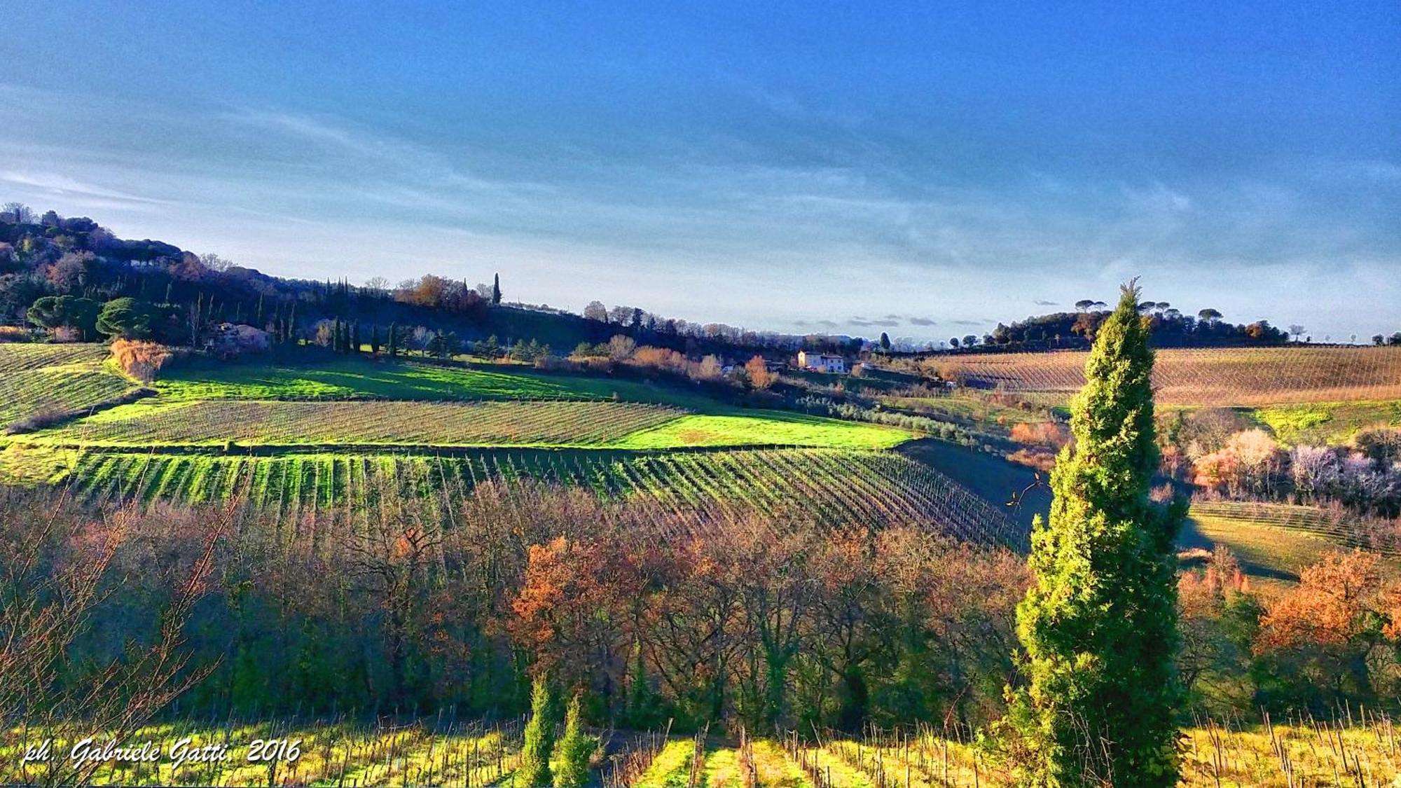 Agriturismo Casa Alle Vacche San Gimignano Exterior photo