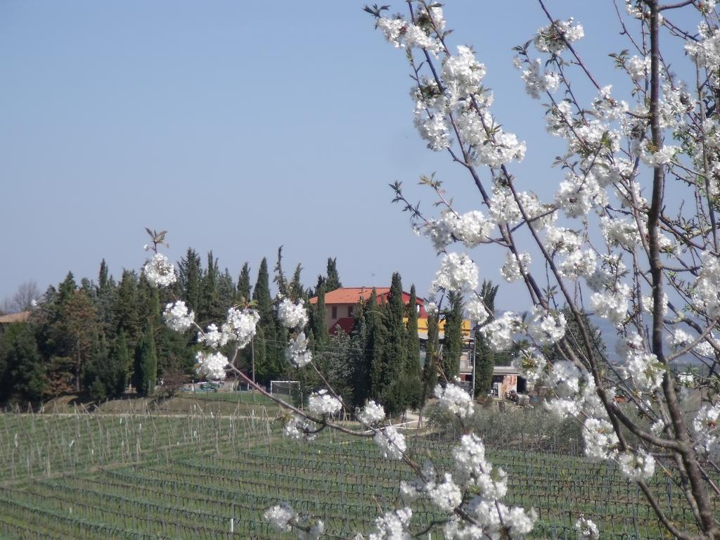 Agriturismo Casa Alle Vacche San Gimignano Exterior photo